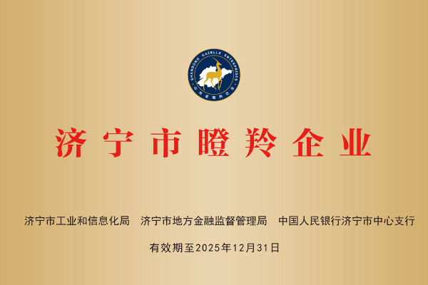 荣誉资质